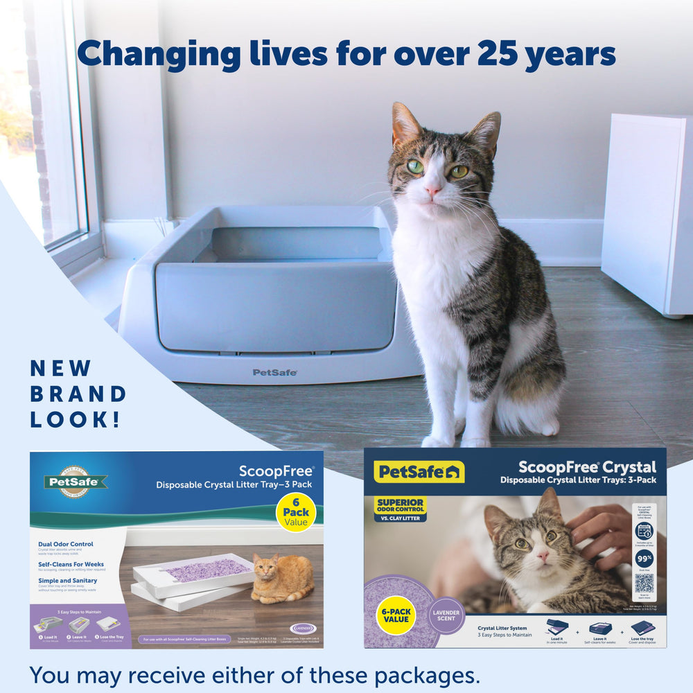 PetSafe bac en usage avec chat illustrant confort et faible traînage
