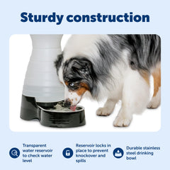 PetSafe chien boit de la station eau accès constant et pratique