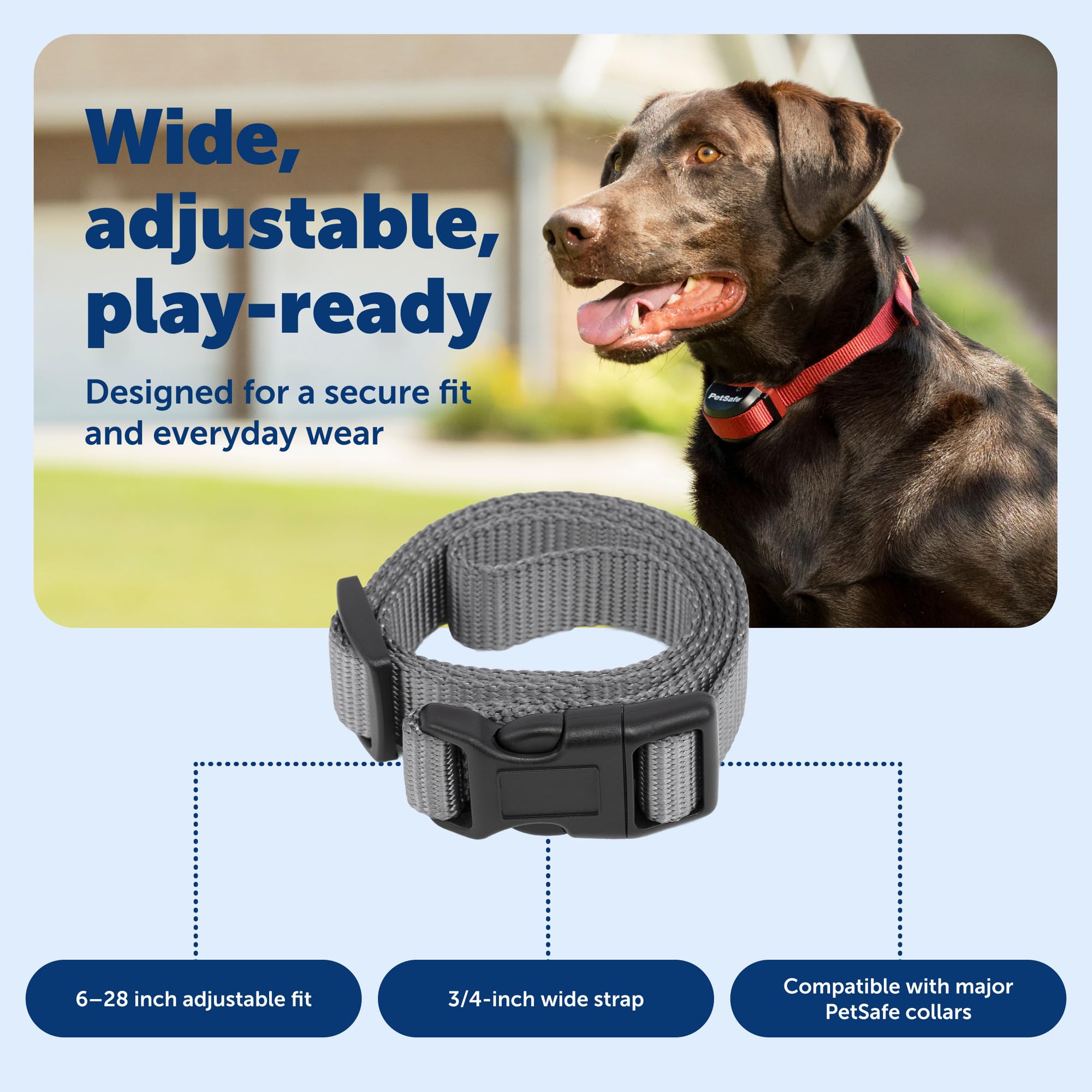 PetSafe fermeture boucle détail assurant fixation sûre et facile