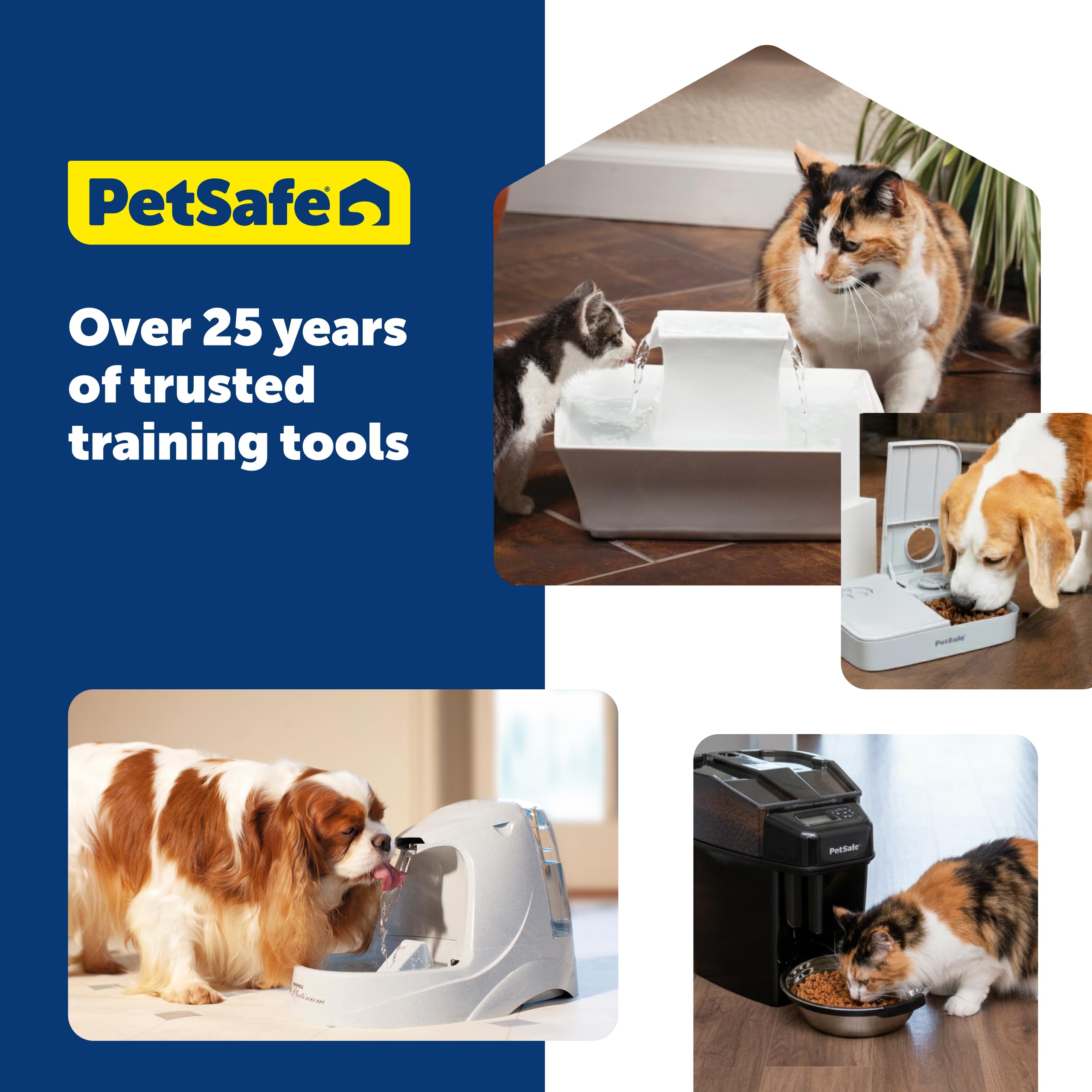 PetSafe filtre en usage avec chat stimulant hydratation et bien-être