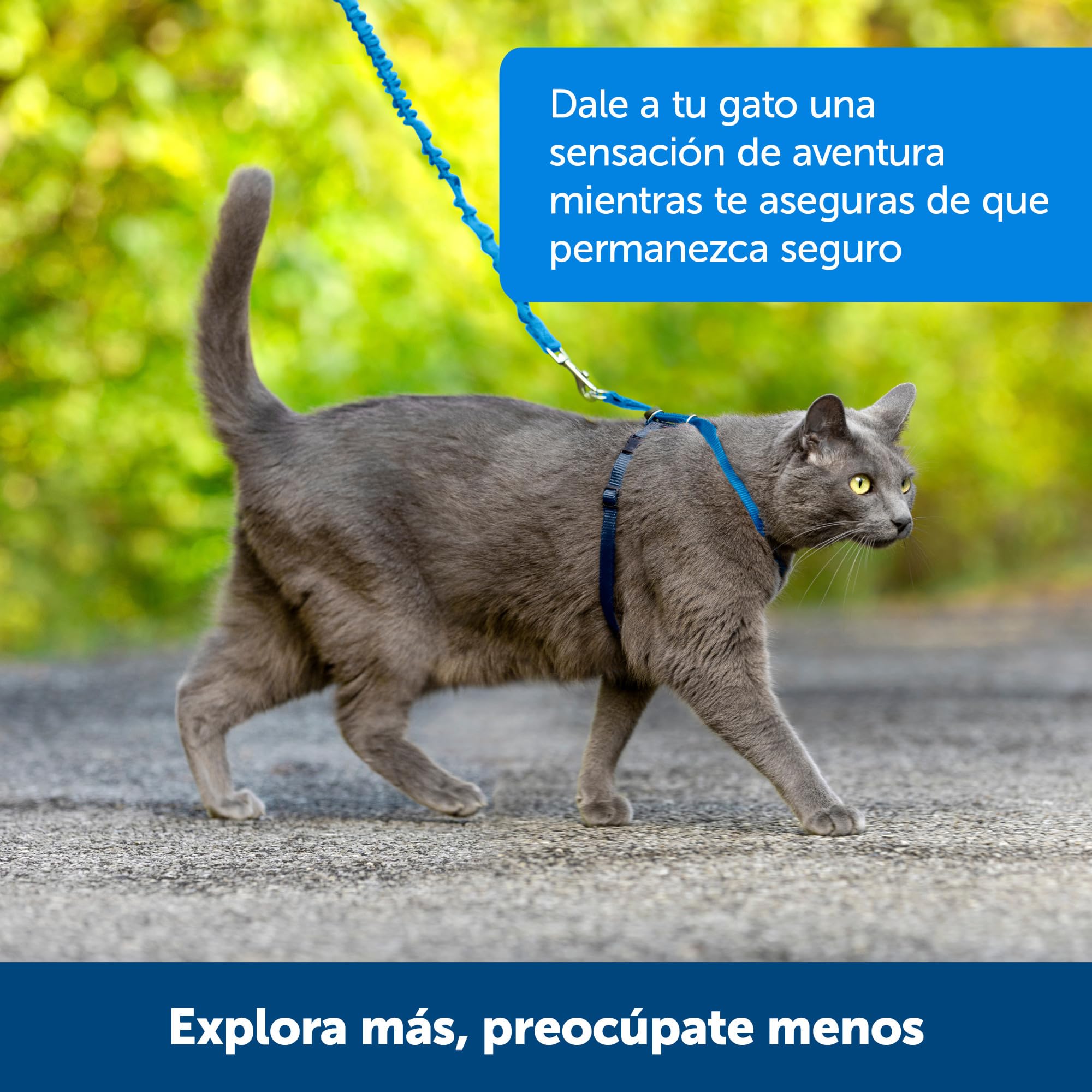 Gros plan PetSafe sur matériau robuste et coutures pour durabilité