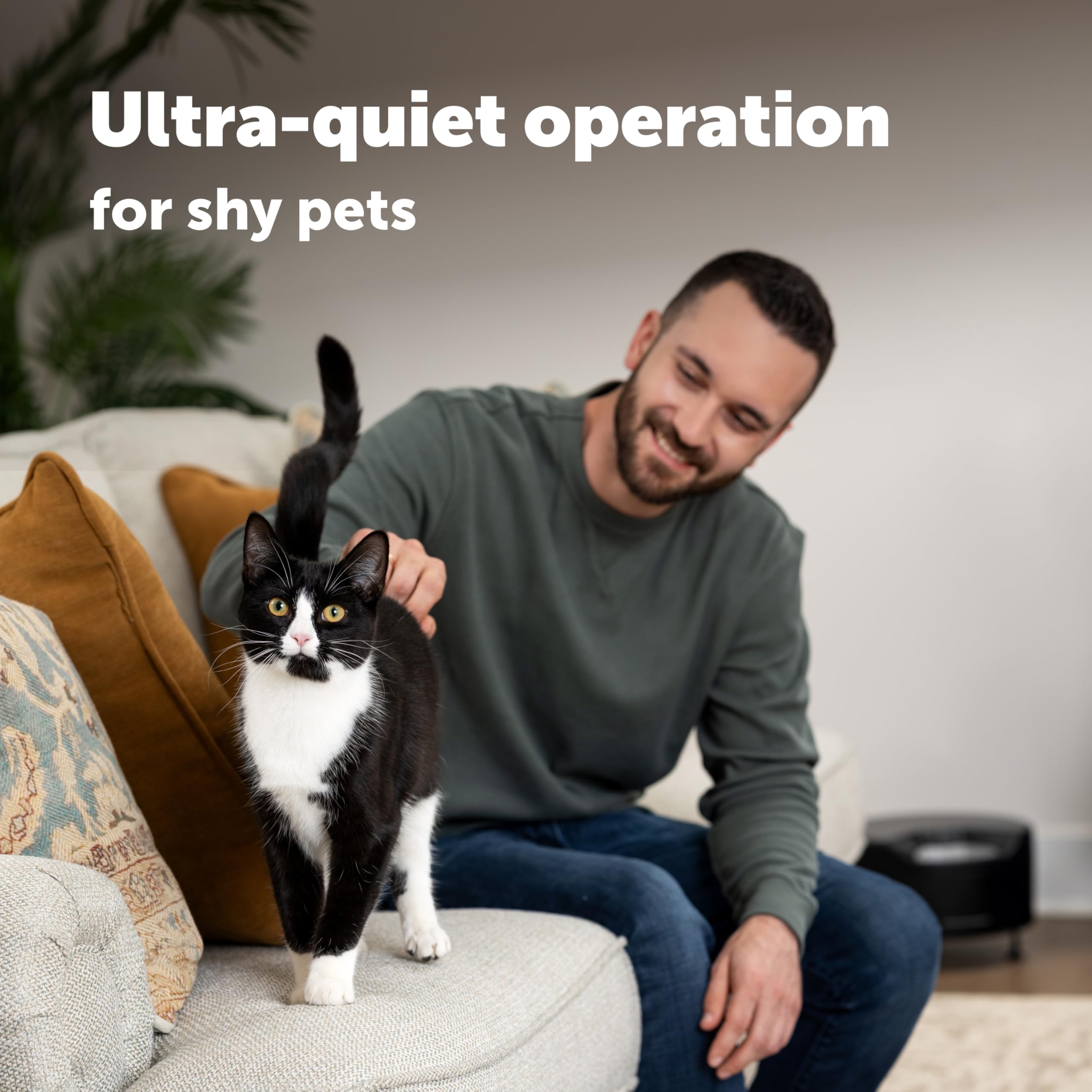 PetSafe FreshFeed chat accédant à un repas portionné, favorise des repas réguliers