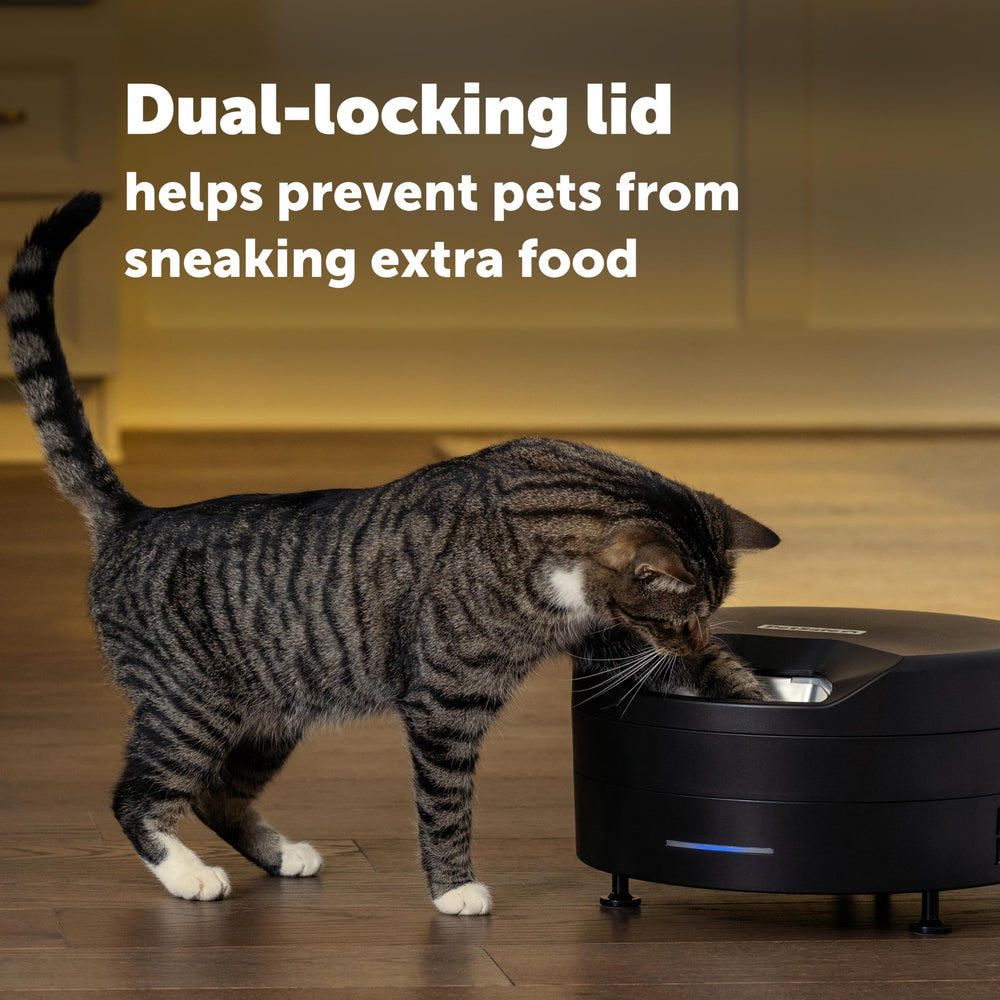 PetSafe FreshFeed comparaison taille avec objet familier pour évaluer encombrement domestique