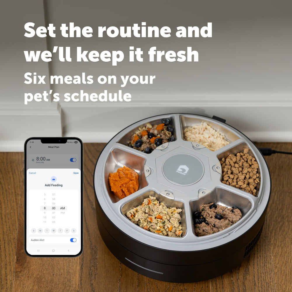 PetSafe FreshFeed couvercle à double-verrou garantissant sécurité et conservation des aliments