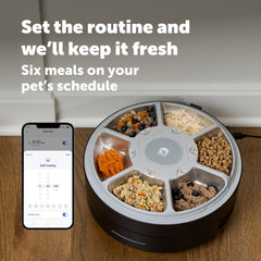PetSafe FreshFeed couvercle à double-verrou garantissant sécurité et conservation des aliments