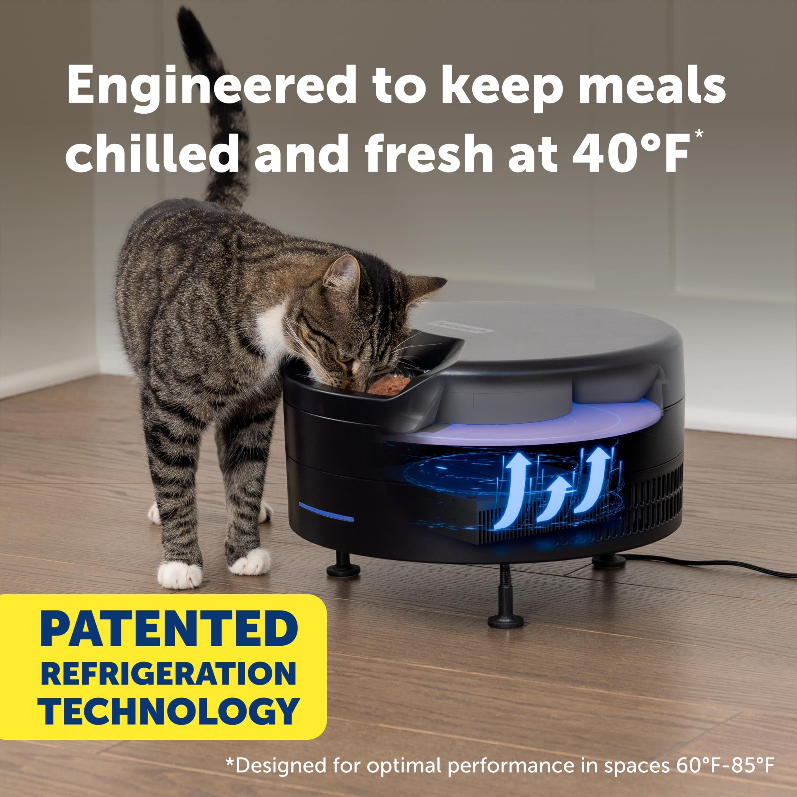 PetSafe FreshFeed plateaux en acier inoxydable amovibles pour nettoyage facile et hygiène