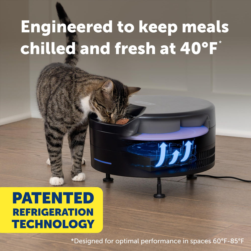 PetSafe FreshFeed plateaux en acier inoxydable amovibles pour nettoyage facile et hygiène