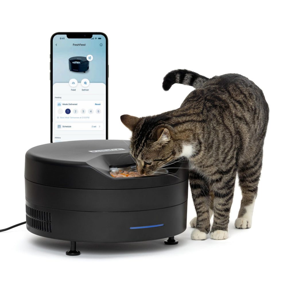PetSafe FreshFeed vue de face montrant design noir et accès aux repas, pratique visuel