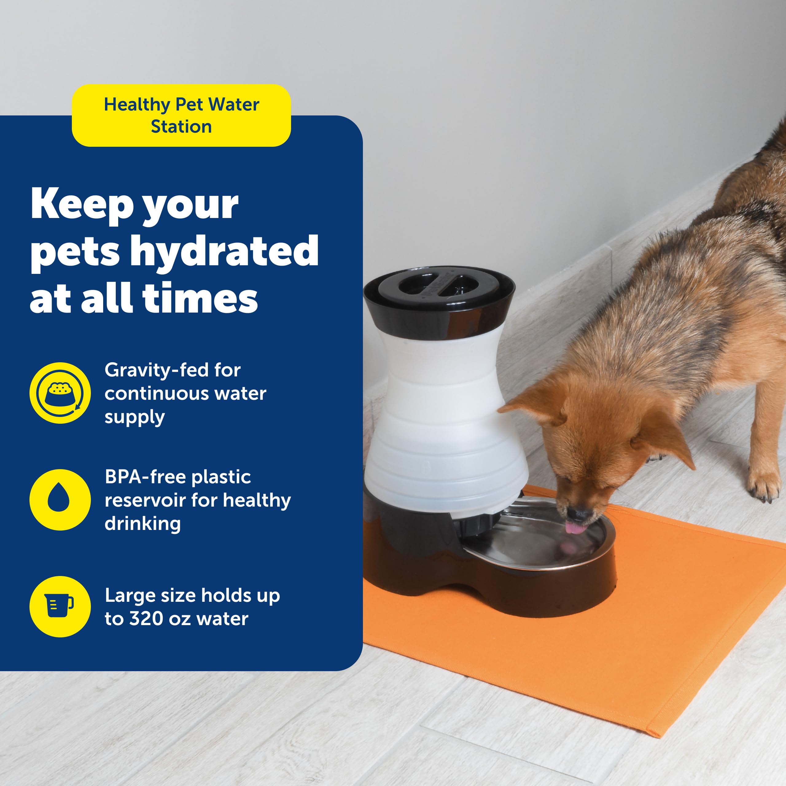 PetSafe gros plan gamelle acier inoxydable hygiénique et durable