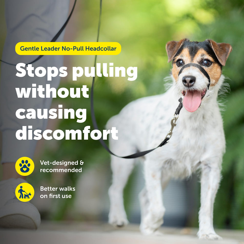 PetSafe gros plan de la boucle nasale rembourrée pour confort