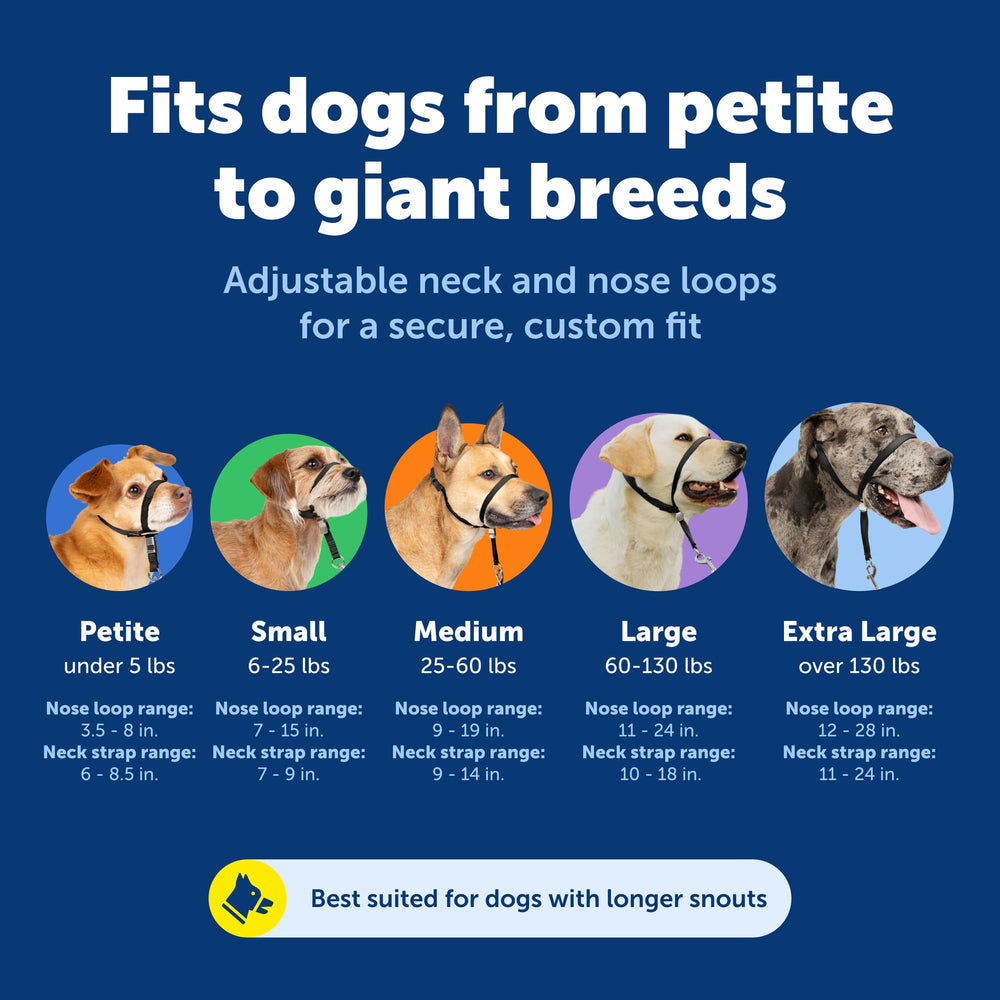 PetSafe Gentle Leader comparaison de taille sur chien pour choisir Large