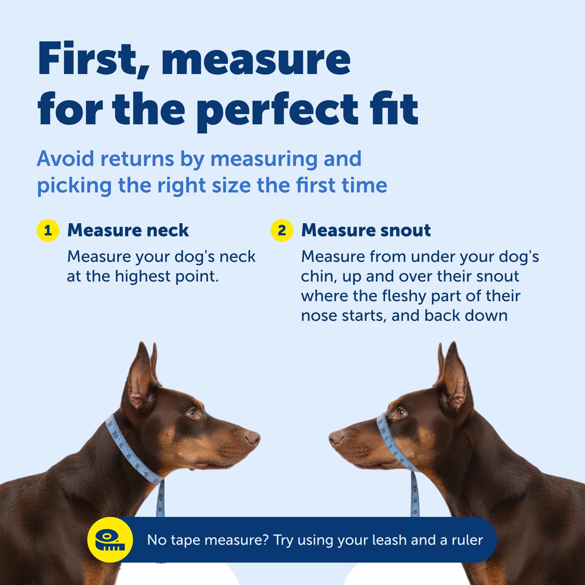 PetSafe Gentle Leader comparaison taille sur petit chien montrant proportion adaptée