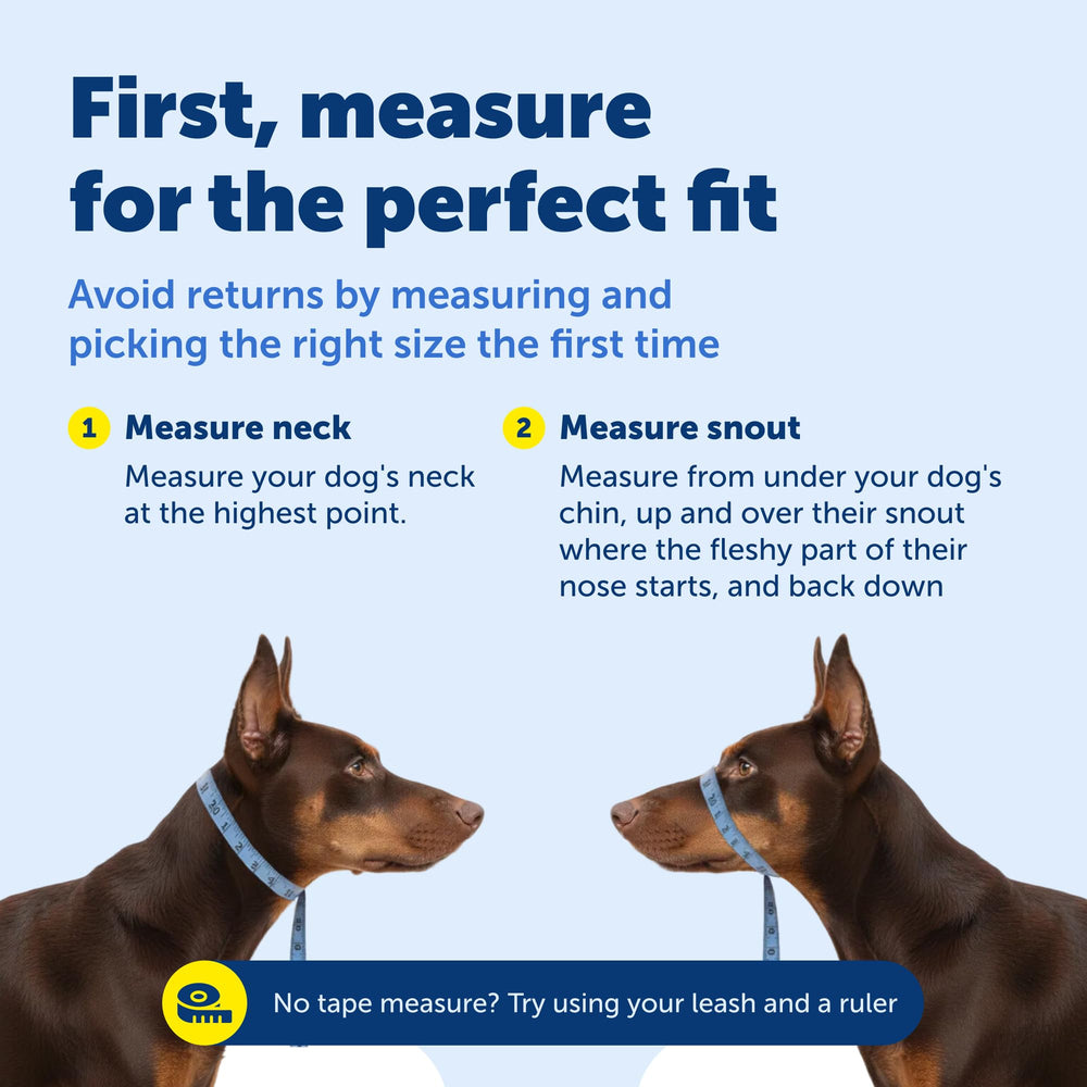 PetSafe Gentle Leader comparaison taille sur petit chien montrant proportion adaptée