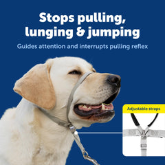 PetSafe Gentle Leader détail de la boucle rapide pour un ajustement simple