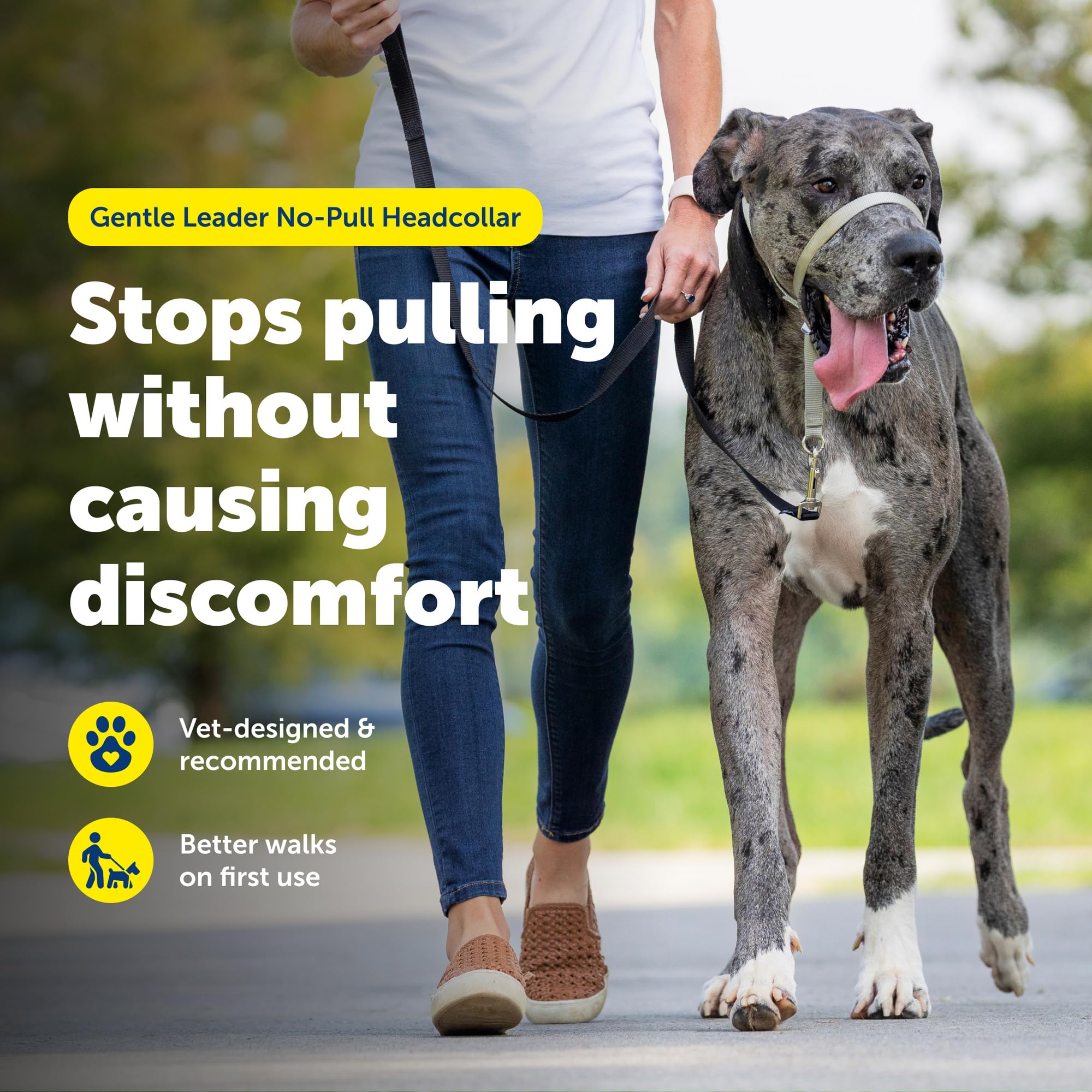 PetSafe Gentle Leader gros plan néoprène rembourré apportant confort