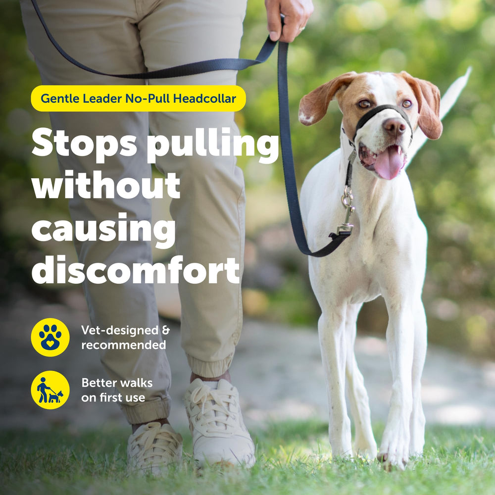 PetSafe gros plan rembourrage néoprène au niveau du nez pour plus de confort