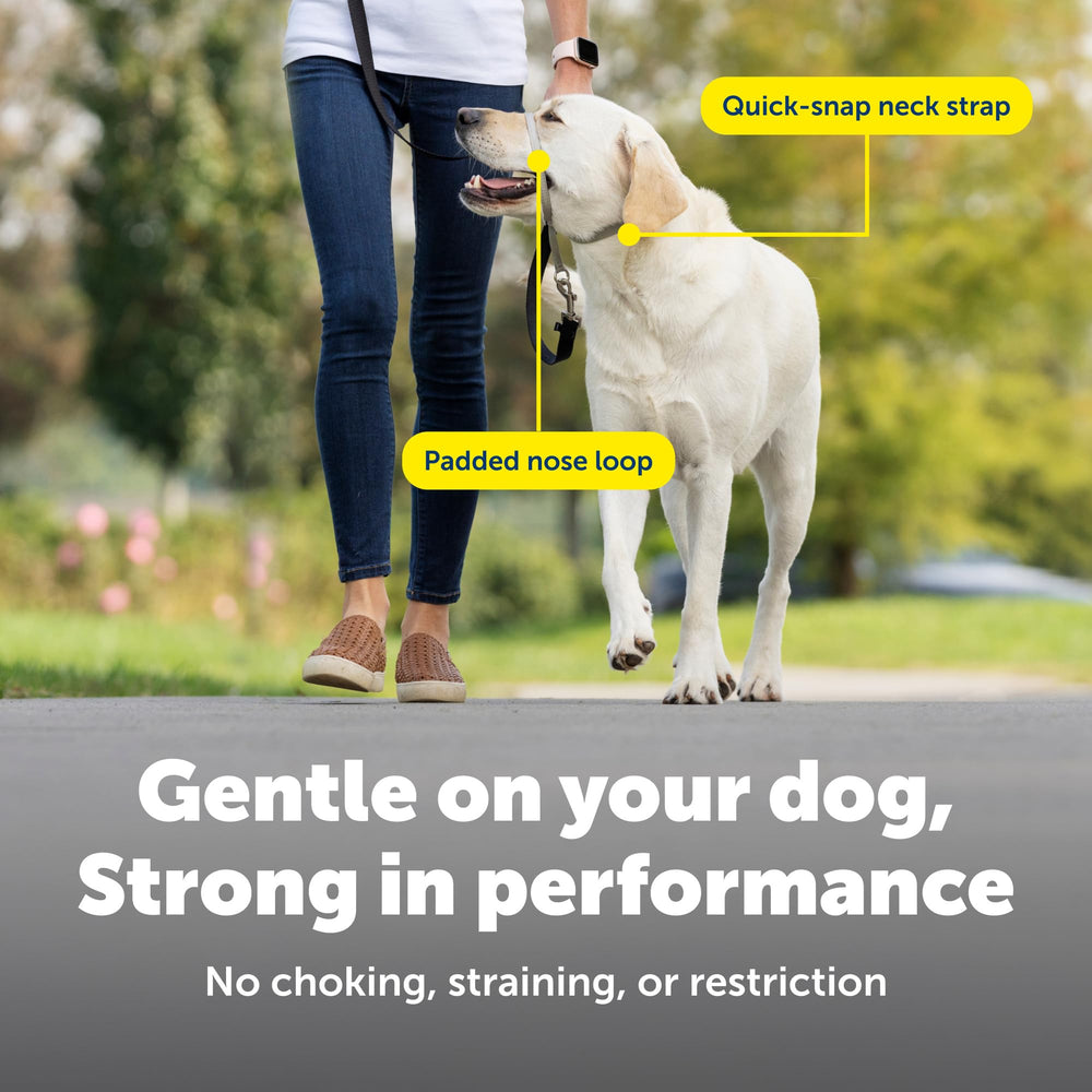 PetSafe détail de la fermeture rapide au cou pour un ajustement facile