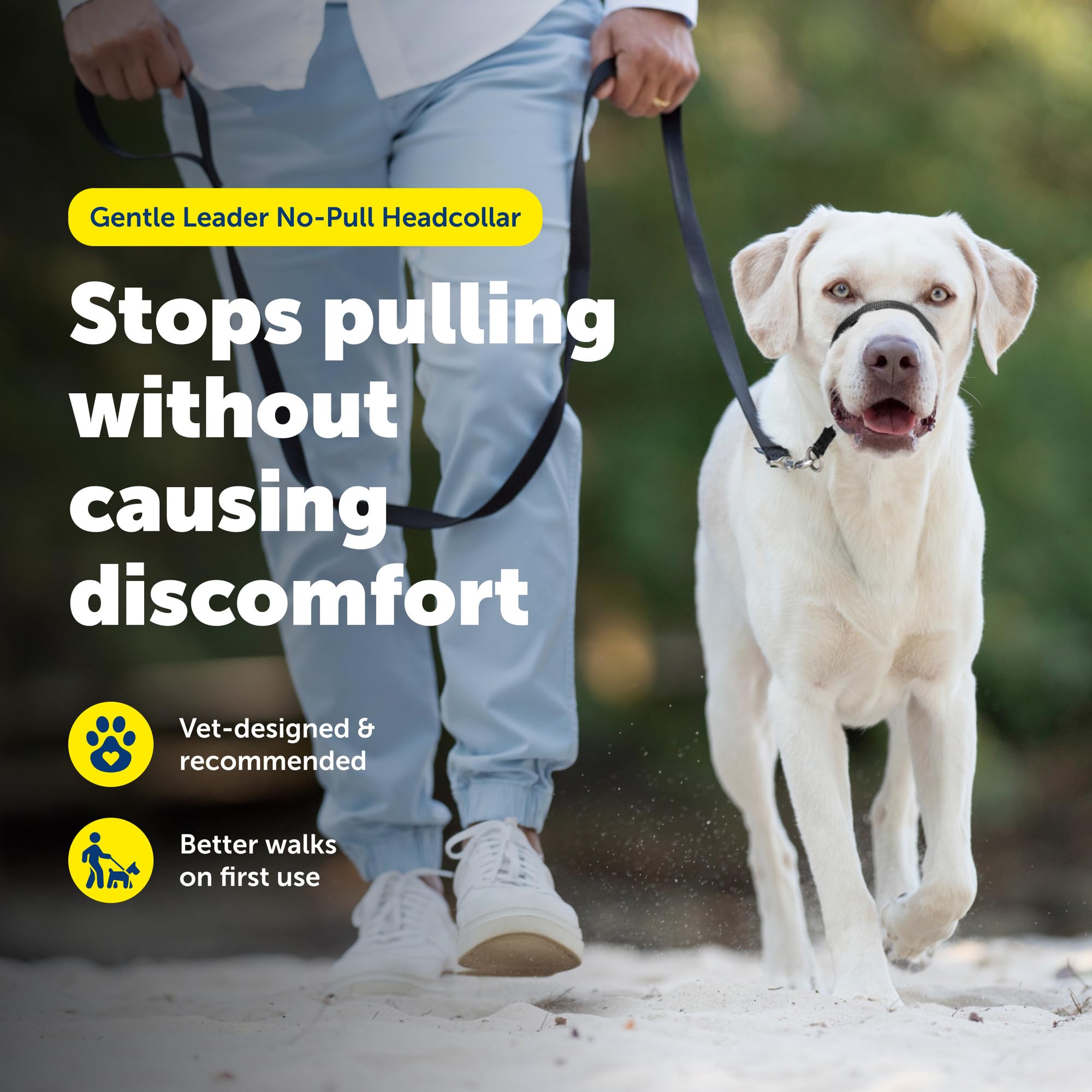PetSafe Gentle Leader gros plan néoprène sur le museau pour confort durable