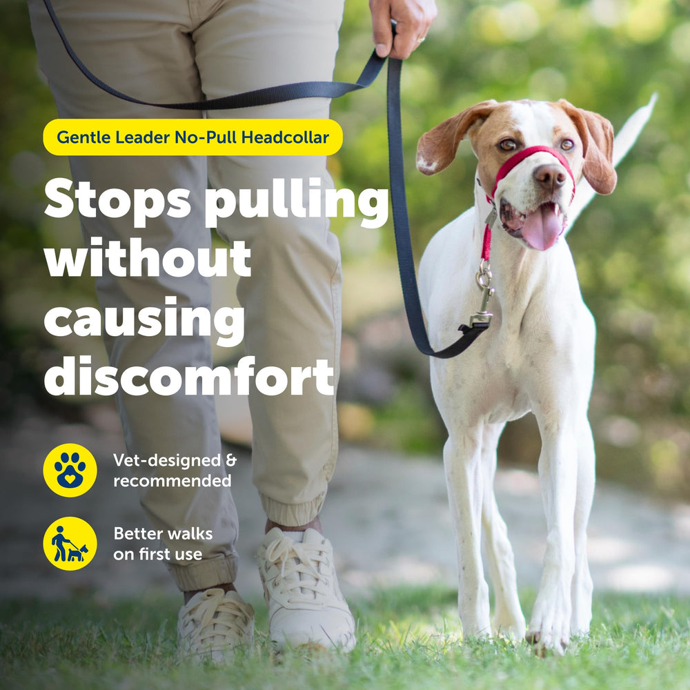 PetSafe gros plan rembourrage néoprène du nez pour confort prolongé