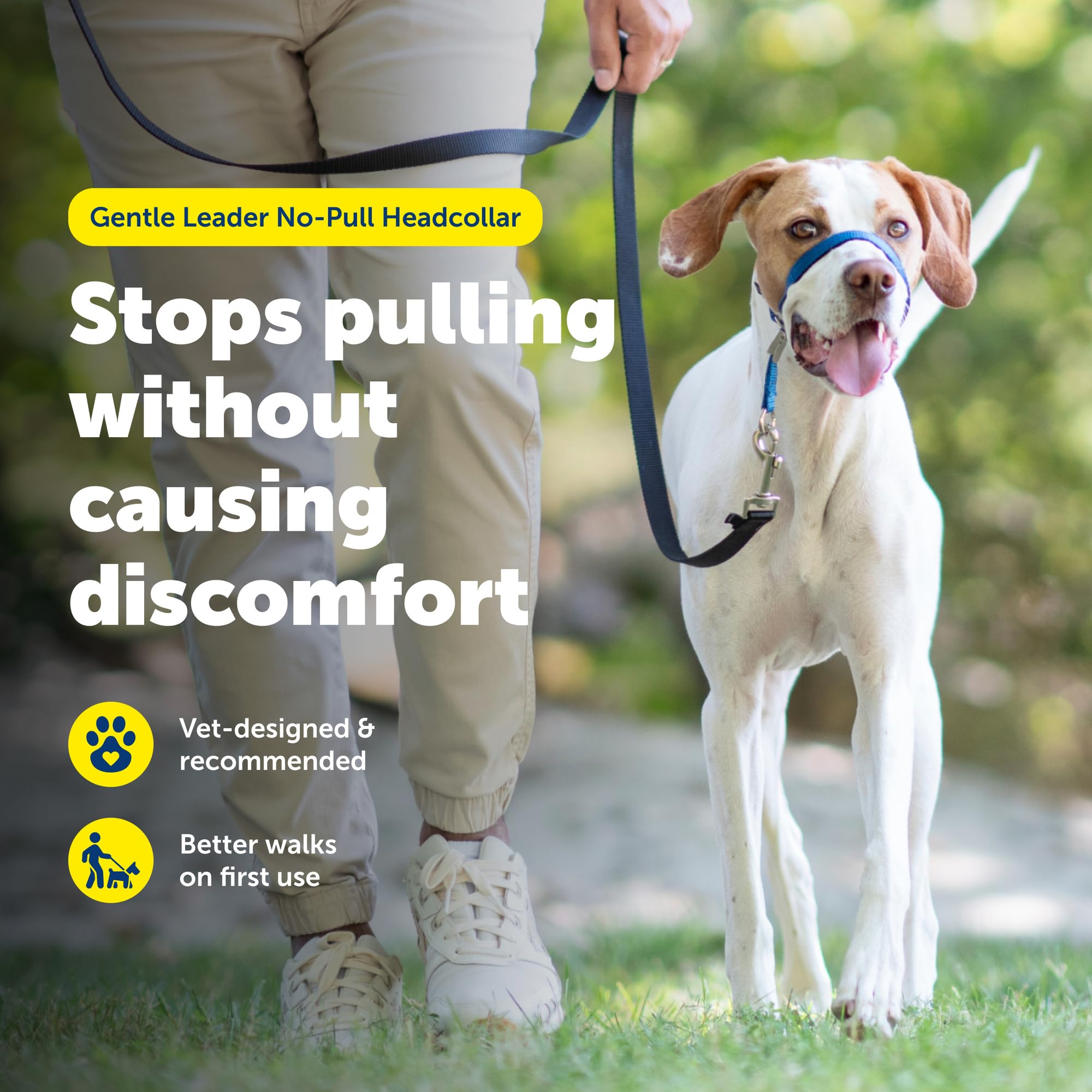 PetSafe porté de profil sur un chien illustrant le contrôle sans tension