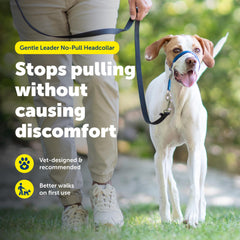 PetSafe porté de profil sur un chien illustrant le contrôle sans tension