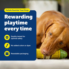 PetSafe gros plan sur la texture d'un anneau montrant surface et durabilité pour mastication