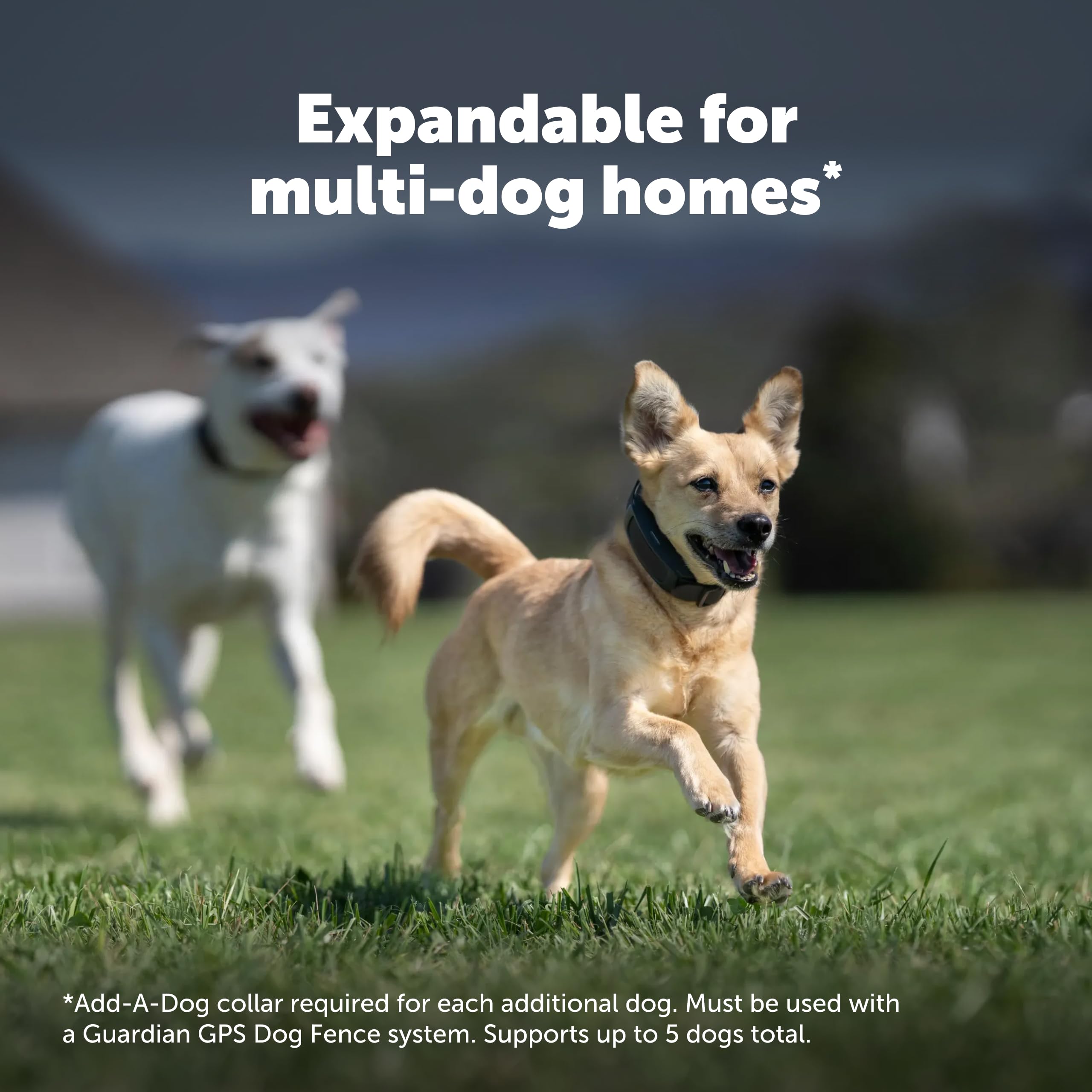 PetSafe chargeur et câble présentés pour recharges rapides faciles