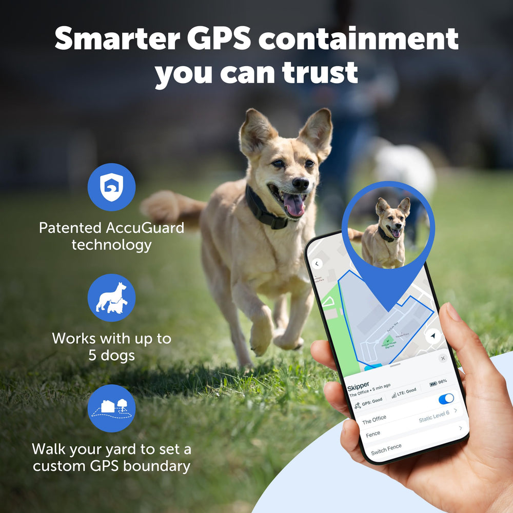 PetSafe collier porté par chien illustrant ajustement et tranquillité