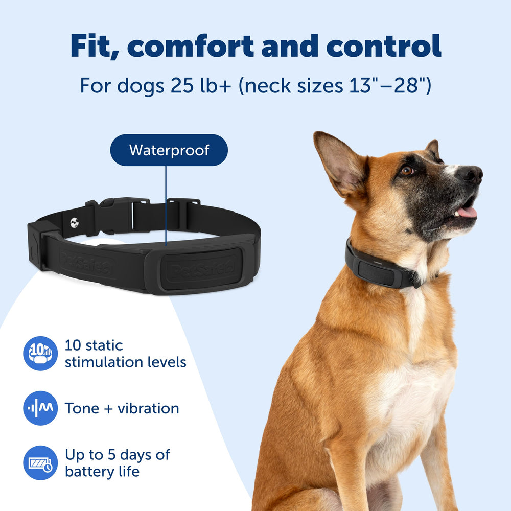 PetSafe collier à l'échelle dans une main montrant compacité pratique