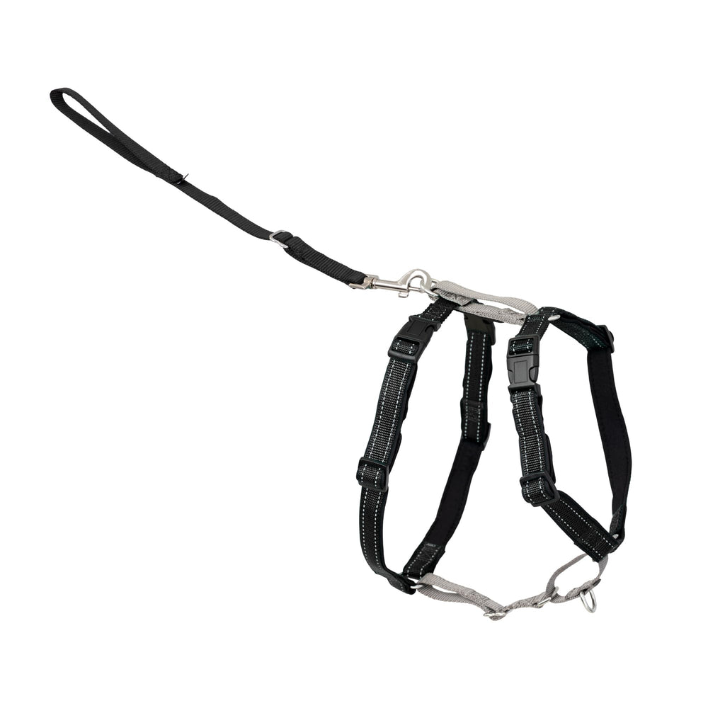 PetSafe harnais face avant montrant ajustements et confort