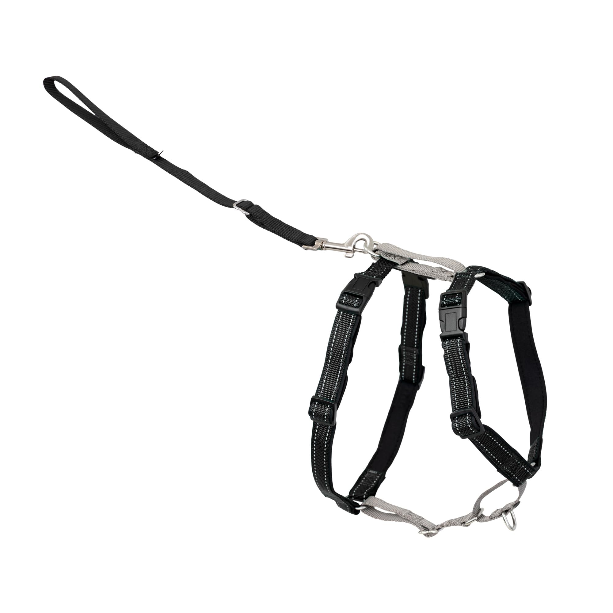 PetSafe harnais face avant montrant les trois points d'attache pour polyvalence