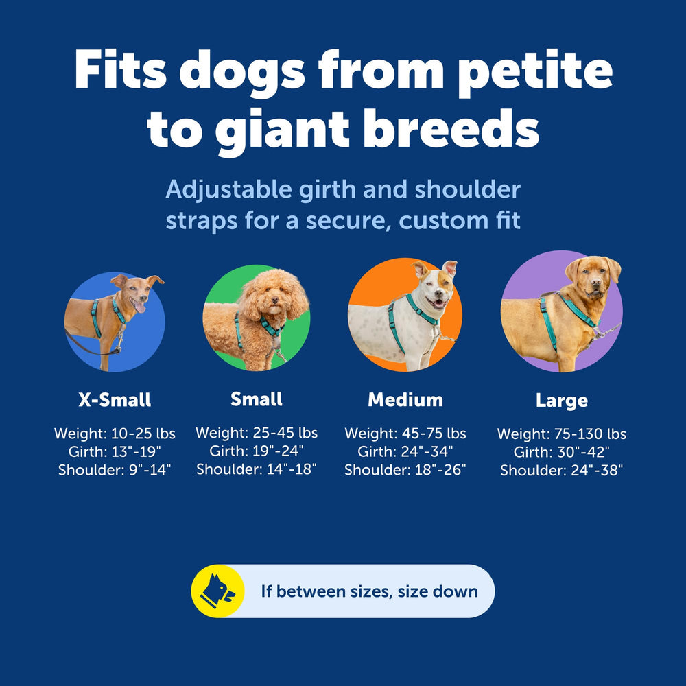 PetSafe boucle de ceinture intégrée pour attache sûre en voiture