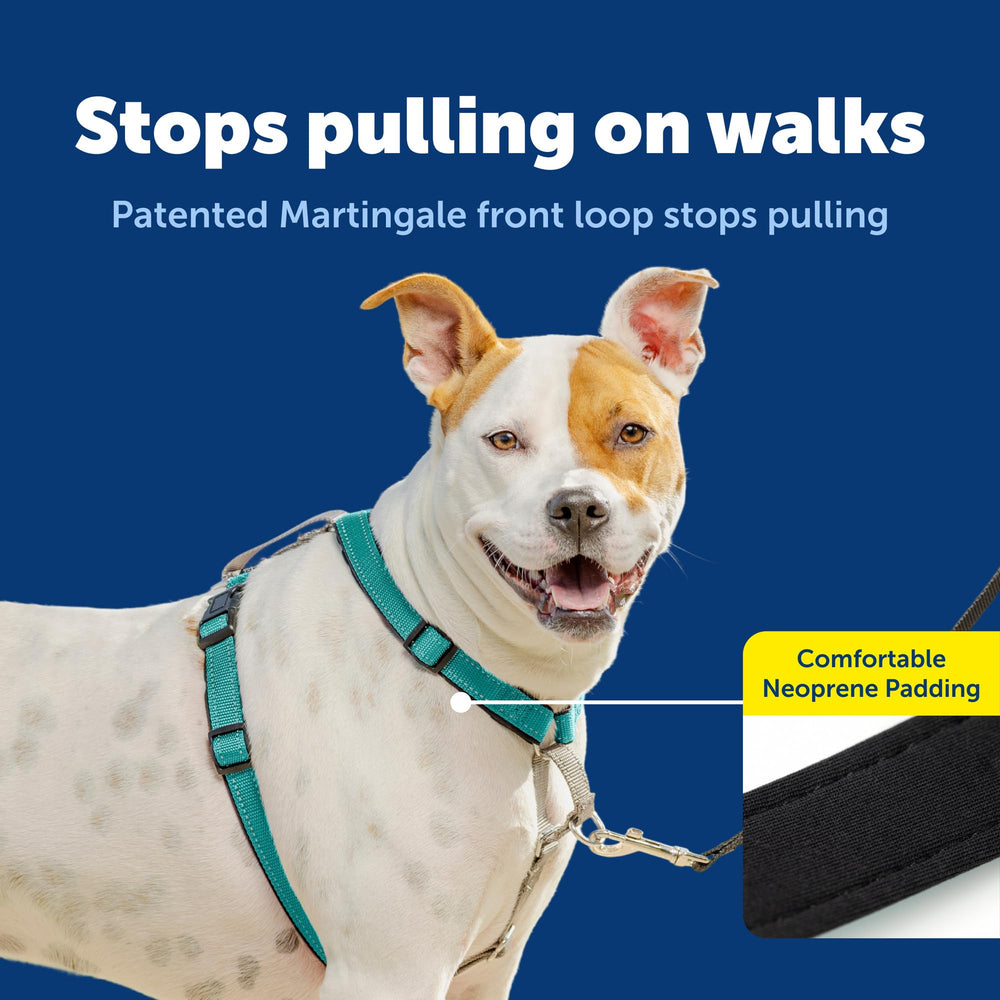 PetSafe poignée supérieure facilement accessible pour contrôle rapide