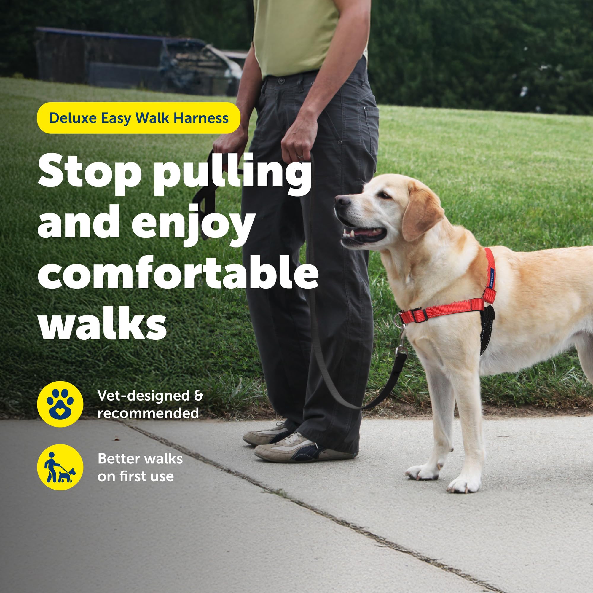 PetSafe attache poitrine montrant redirection traction utile entraînement