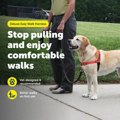 PetSafe attache poitrine montrant redirection traction utile entraînement