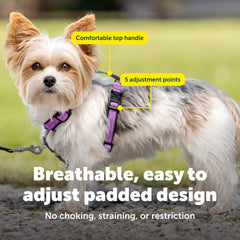 PetSafe attache dorsale et bandes réfléchissantes visibilité accrue