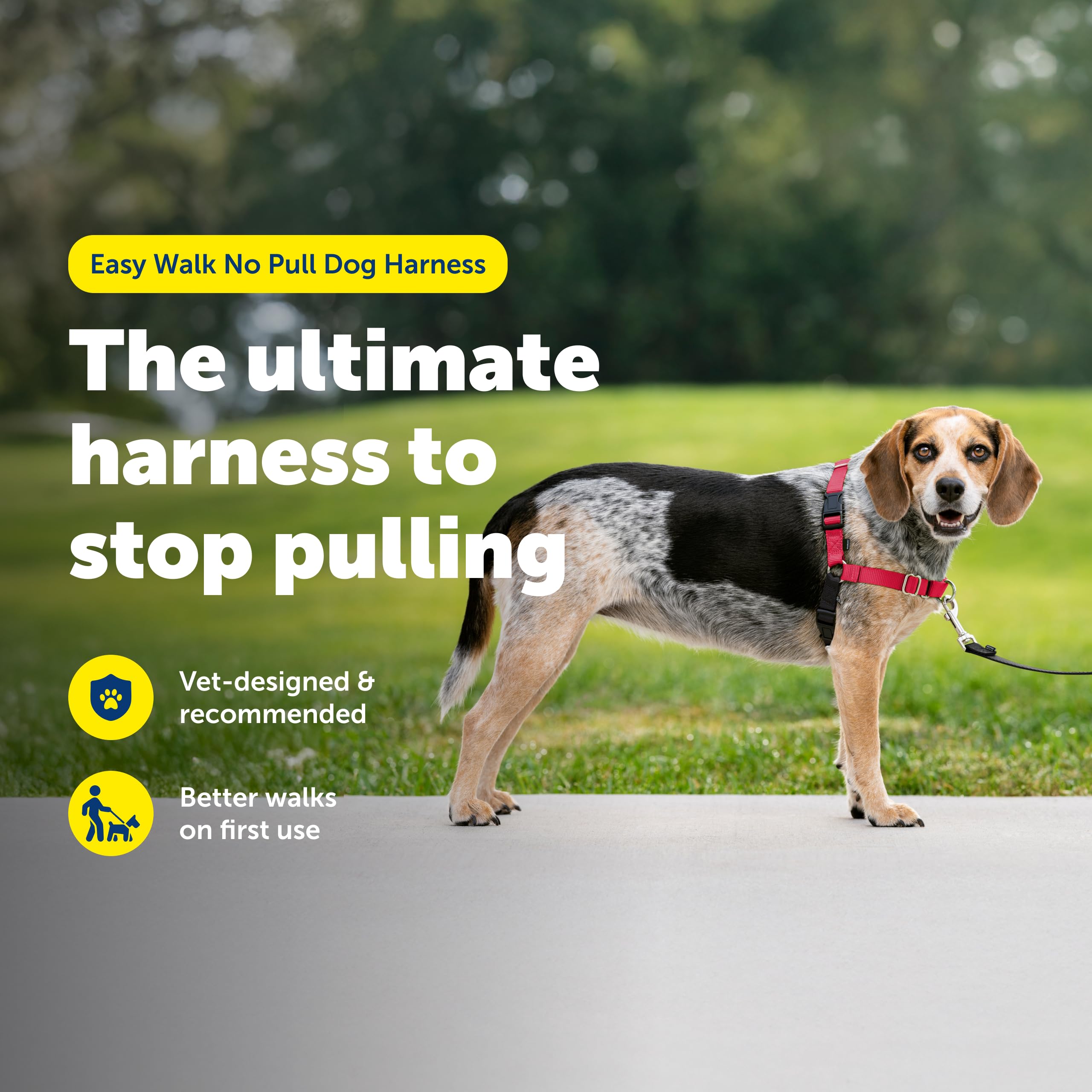 PetSafe boucle martingale en gros plan pour guidage progressif