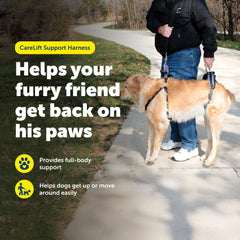 PetSafe gros plan rembourrage pour confort prolongé