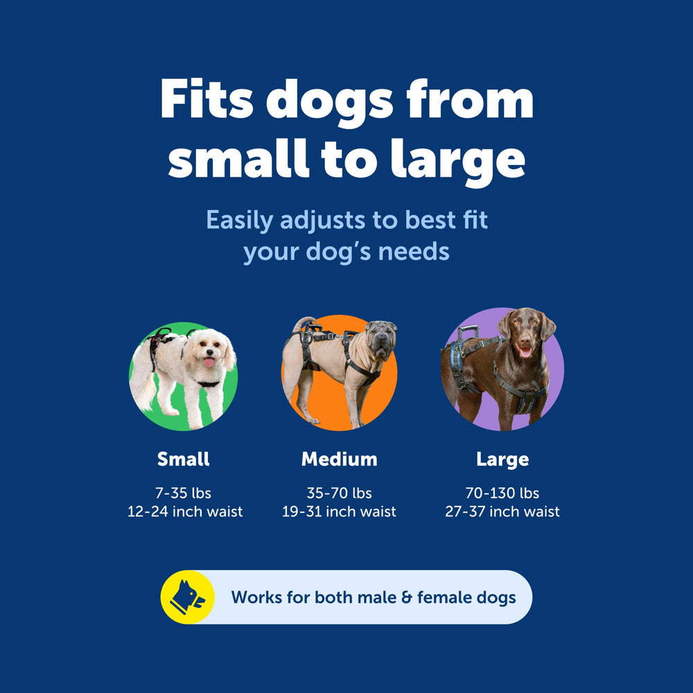 PetSafe protection amovible pour mâles réduisant l'inconfort