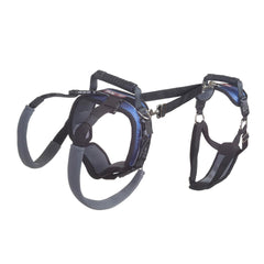 PetSafe harnais CareLift vue face montrant maintien confortable