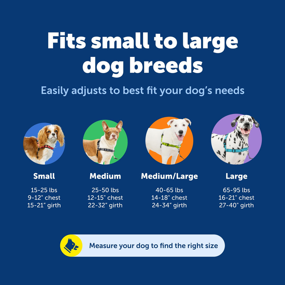 PetSafe clips d'épaule et ventre pour mise en place rapide