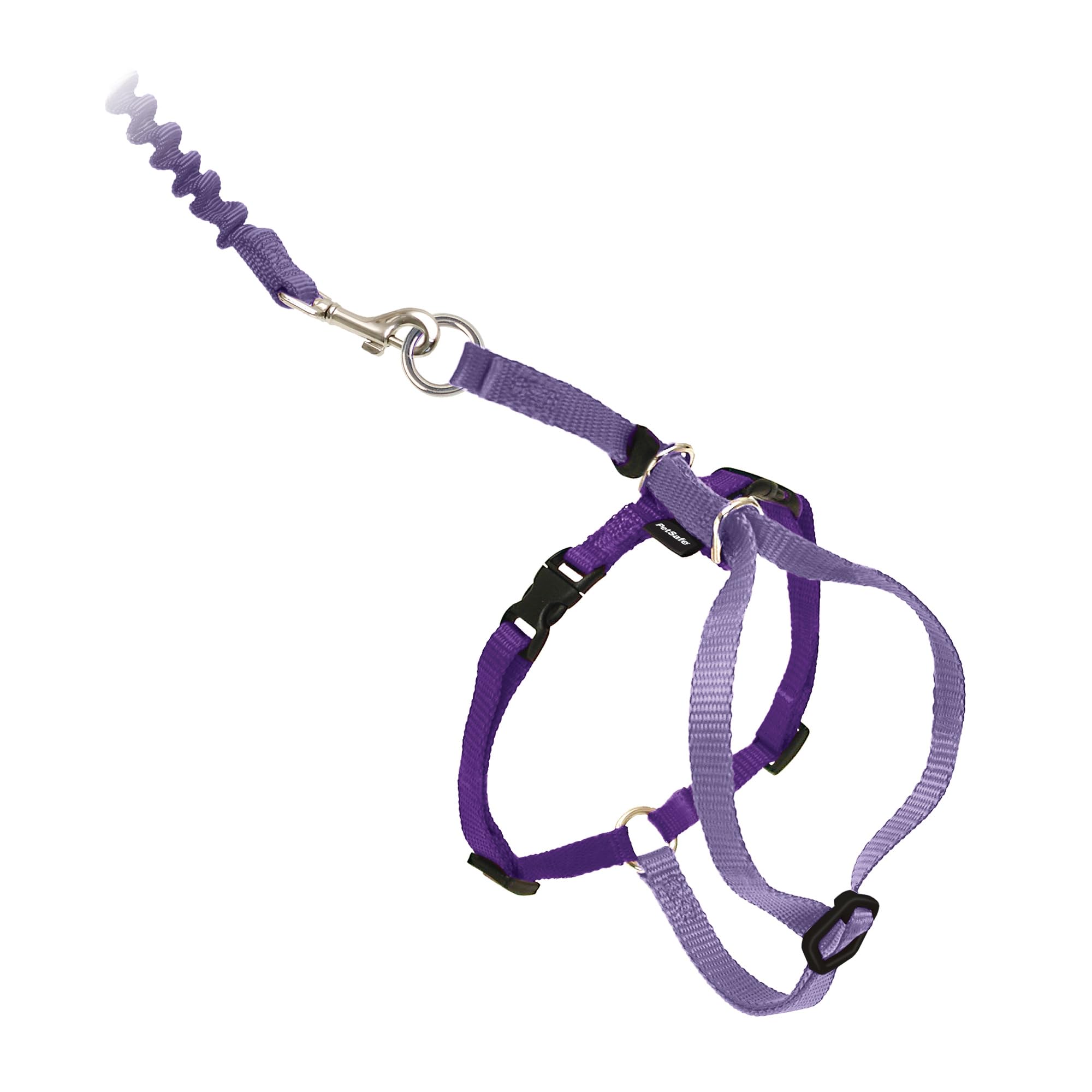 PetSafe vue avant du harnais montrant l’ajustement et confort