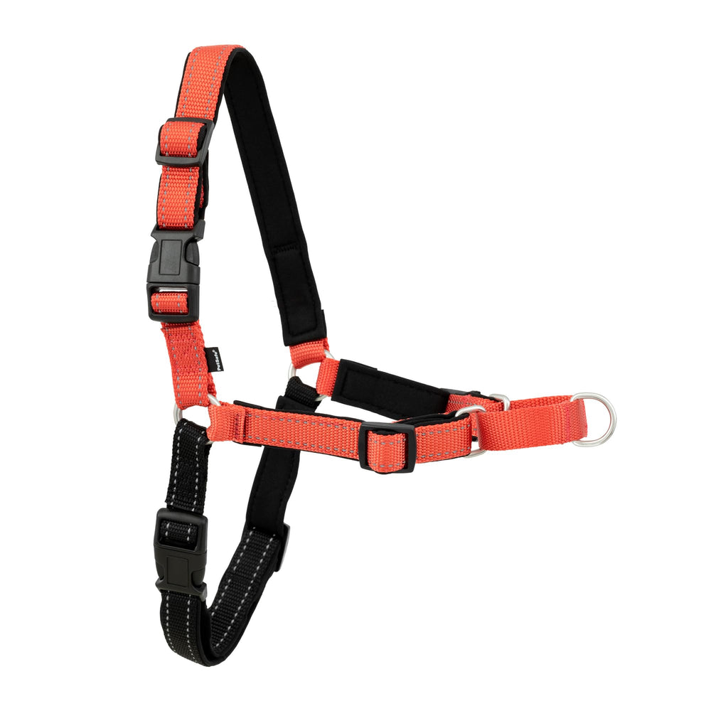 PetSafe harnais vue avant montrant l'attache poitrine et maintien sûr
