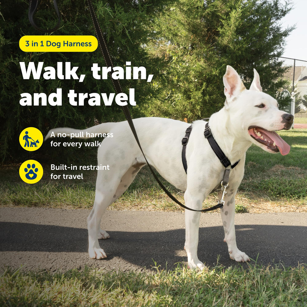 PetSafe boucle ceinture pour voiture assurant sécurité en trajet
