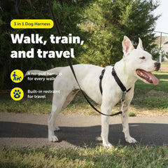 PetSafe boucle ceinture pour voiture assurant sécurité en trajet
