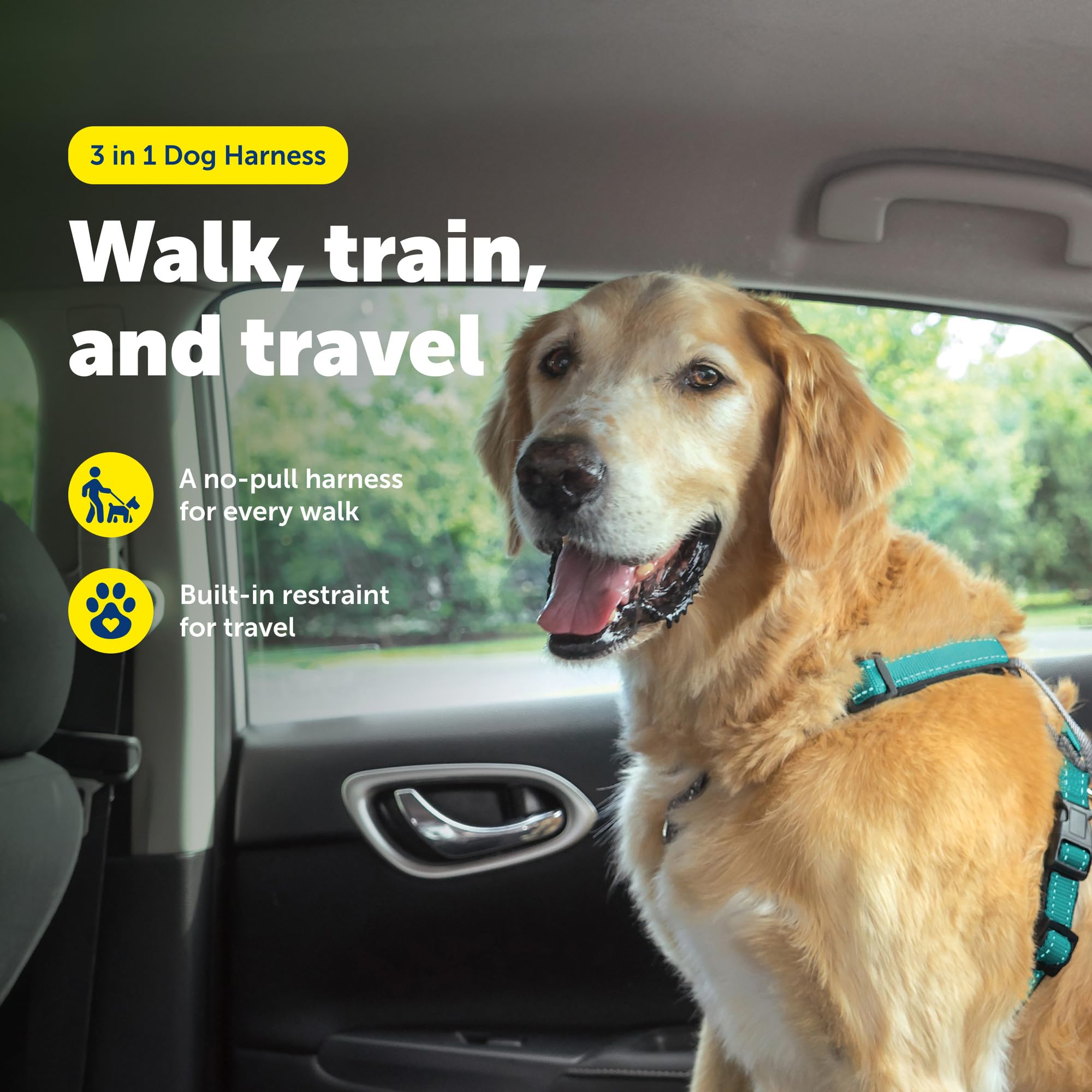 PetSafe détail de la boucle de sécurité pour fixation en voiture