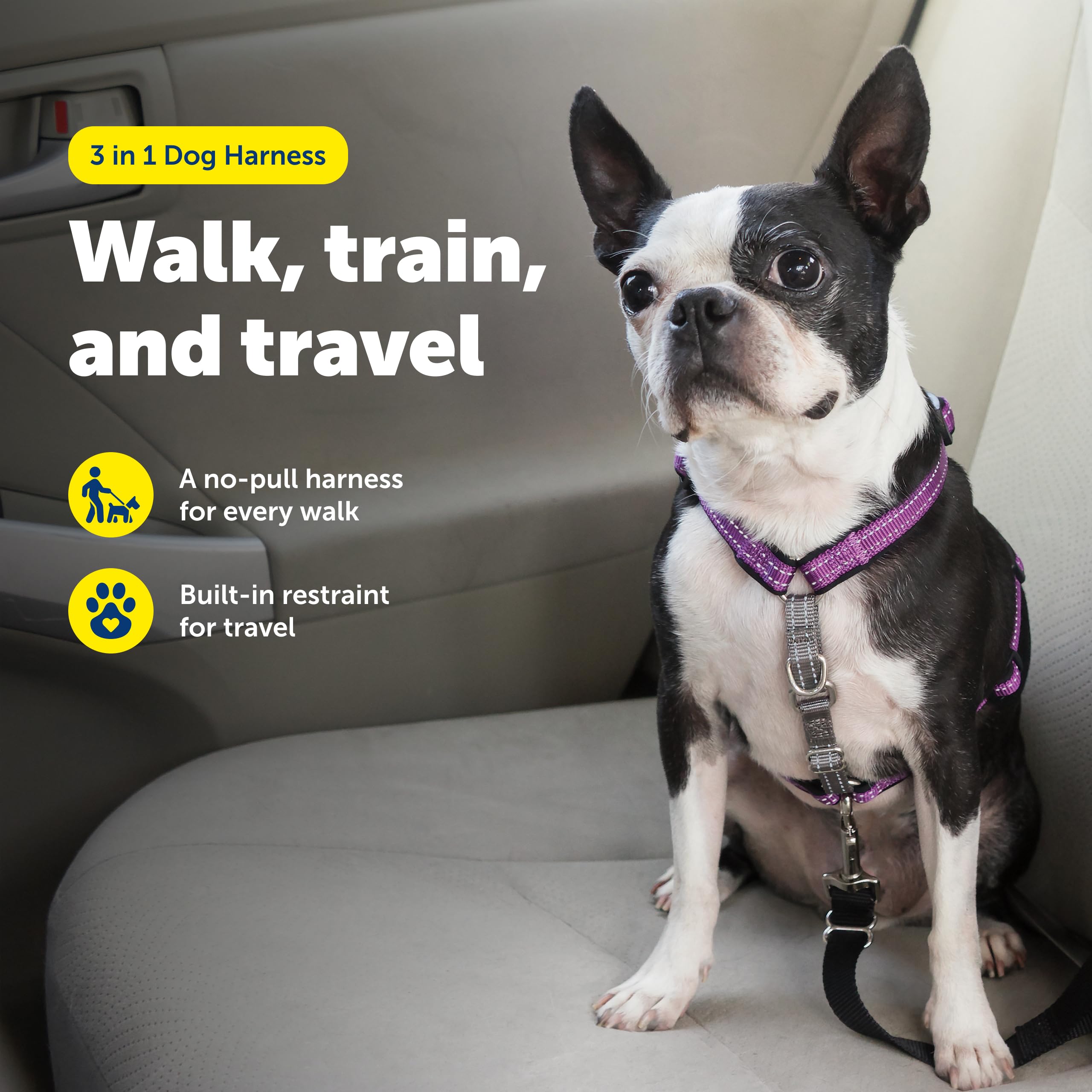 PetSafe détail rembourrage sangle offrant confort antirubbing