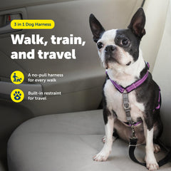 PetSafe détail rembourrage sangle offrant confort antirubbing