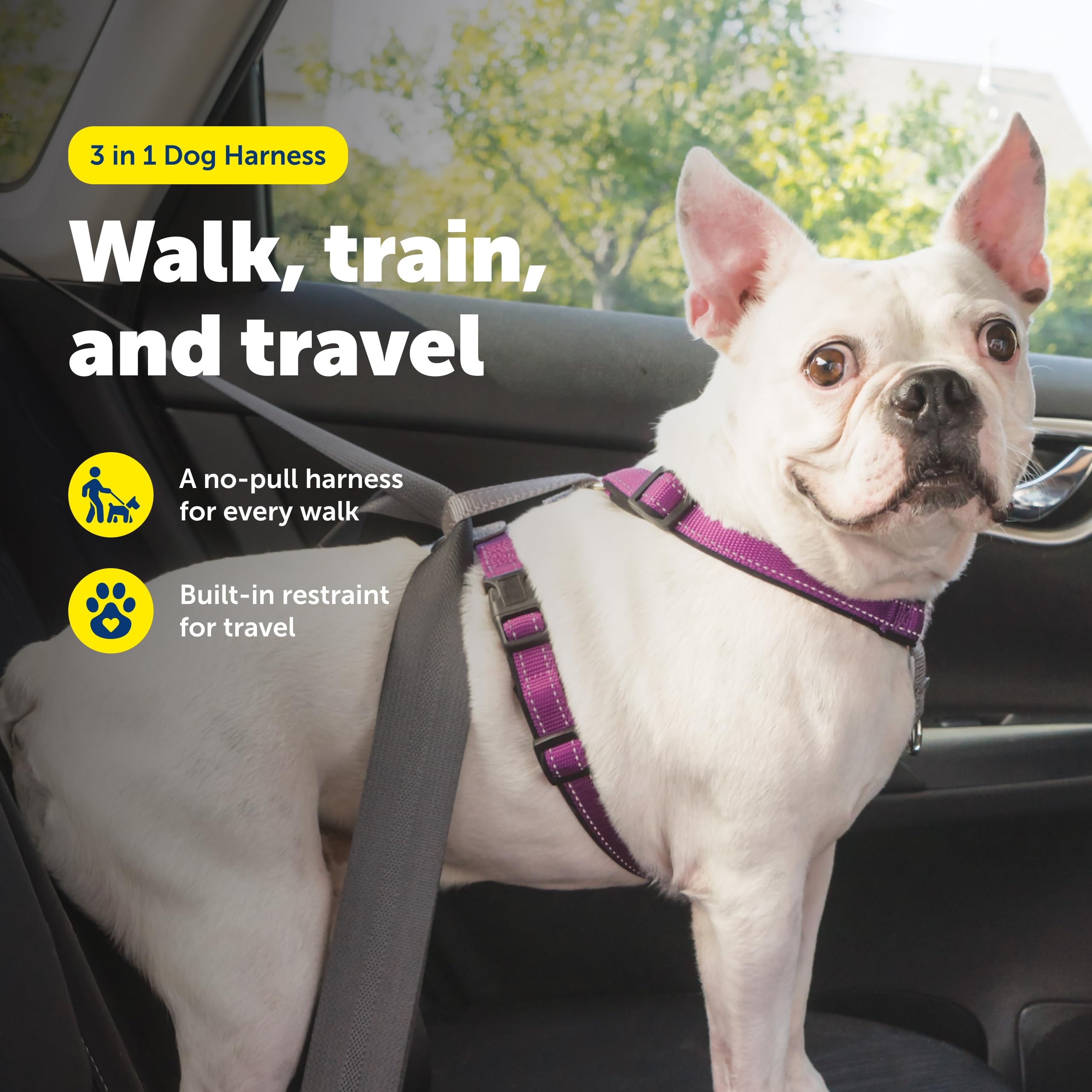 PetSafe harnais vue dorsale avec attache située pour courses sécurisées