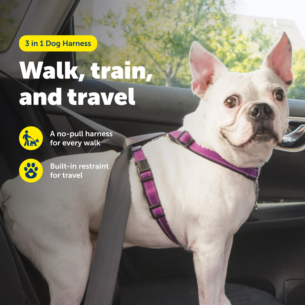 PetSafe harnais vue dorsale avec attache située pour courses sécurisées